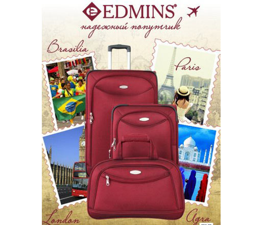  EDMINS