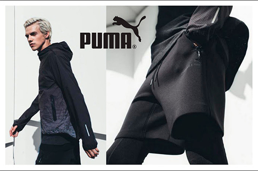   Puma