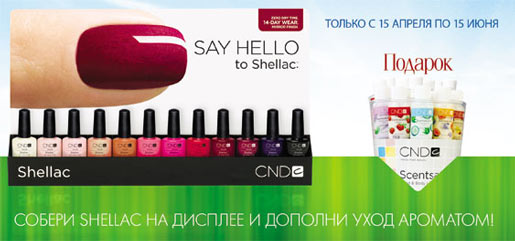  Shellac      