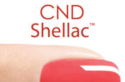 Палитра новых цветов Shellac